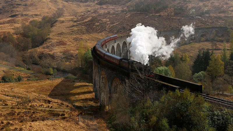 Al menos 8 personas pierden la vida en choque de trenes, en India 