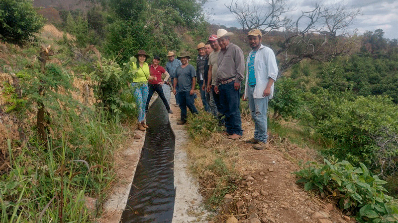 Con obras por cooperación productores de guayaba de Ario tienen más agua para cultivos