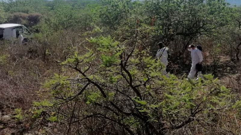 Hallan en La Huacana, Michoacán el cadáver de quien podría ser Mireya Berenice P. S.