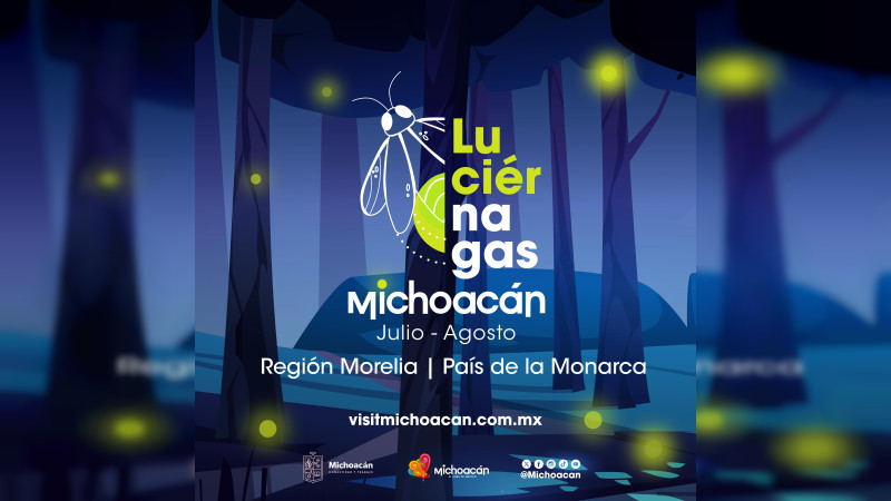 Habrá recorridos para visitar a las luciérnagas en Michoacán