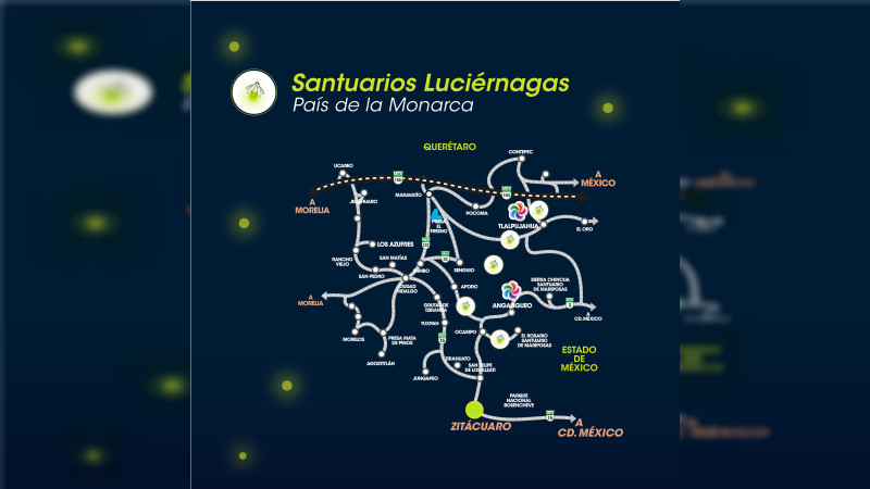 Habrá recorridos para visitar a las luciérnagas en Michoacán