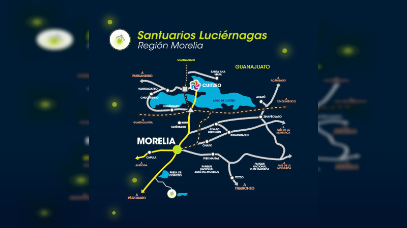 Habrá recorridos para visitar a las luciérnagas en Michoacán