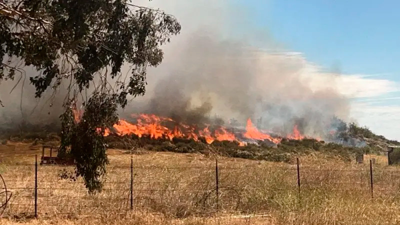 Incendio forestal en Valle de Guadalupe, BC, suma 800 hectáreas afectadas 