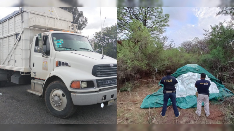 Agentes especiales de la FGE Michoacán recuperan camión y toneladas de semillas, robados con violencia en carretera de Morelia 
