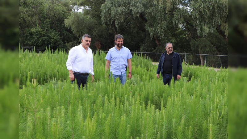 Téllez Marín realiza entrega simbólica de 300 mil arbolitos para beneficiar a los silvicultores del municipio