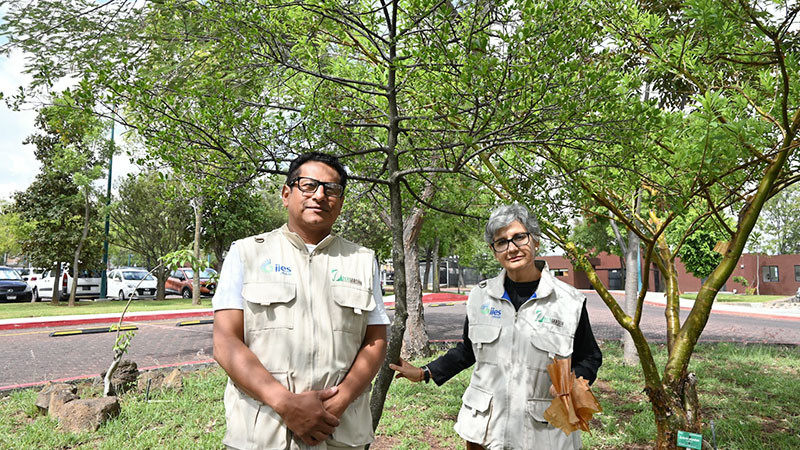 Ecojardín de la UNAM Morelia preserva especies vegetales en peligro de extinción 