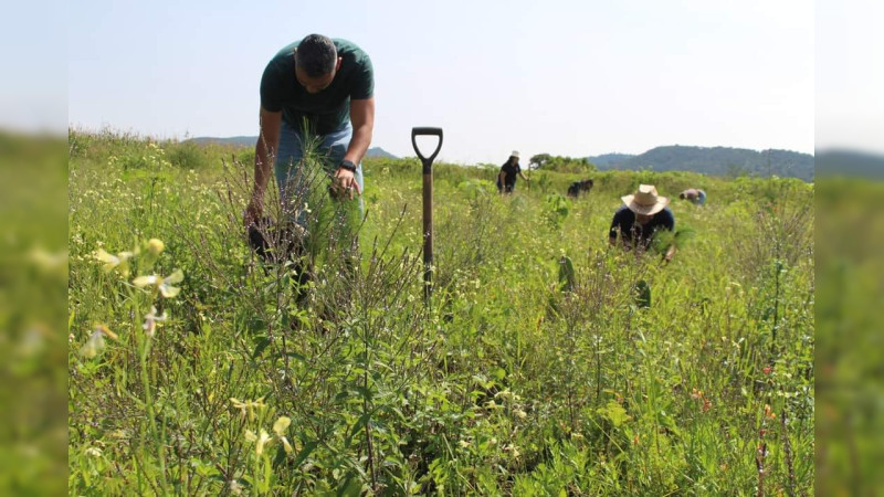 Agricultores innovan cosechar hortalizas en desierto de Chihuahua 