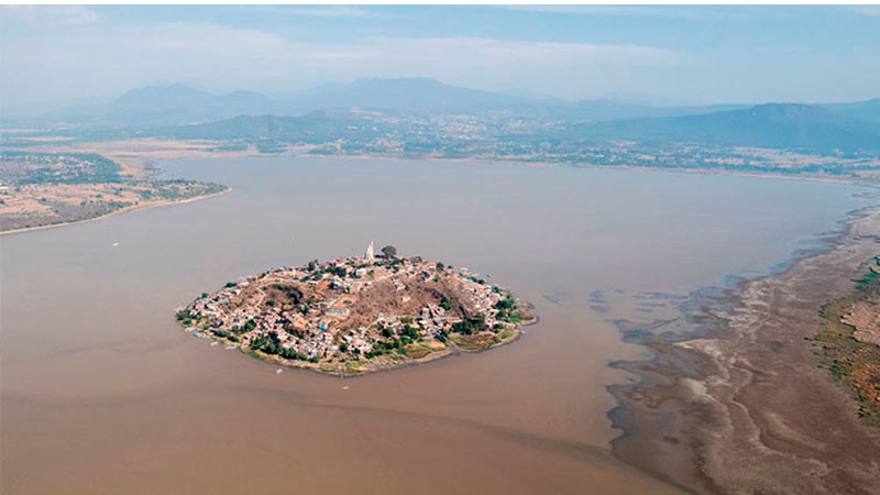 Se han perdido más del 50% de área boscosa aledañas a Lago de Pátzcuaro  