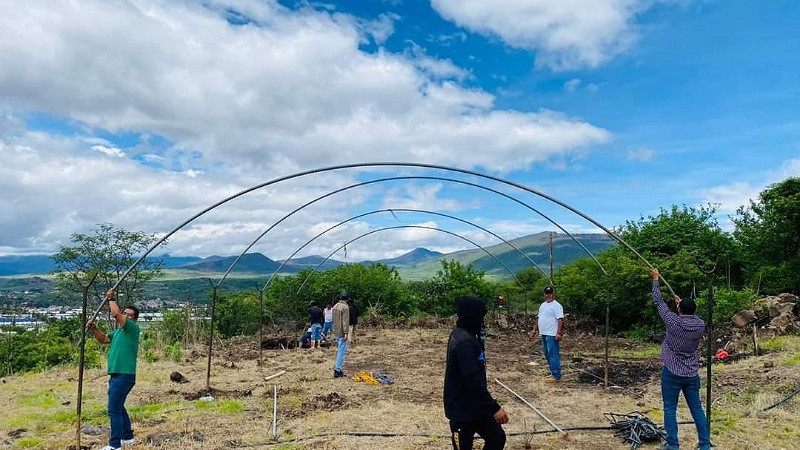 Estudiantes del Cecytem Tangancícuaro se beneficiarán con vivero escolar 