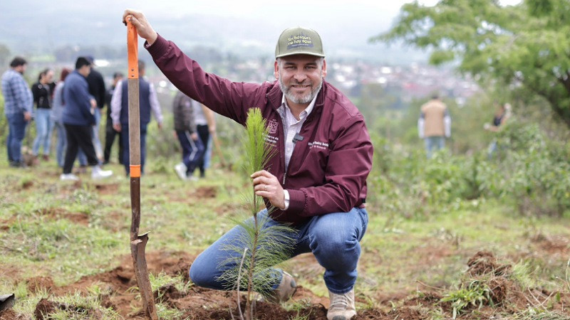 Bedolla arranca reforestación de un millón y medio de árboles en la cuenca del lago de Pátzcuaro 