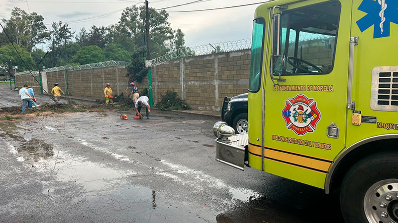 Brigadas intermunicipales atienden incidencias por lluvias de este miércoles 