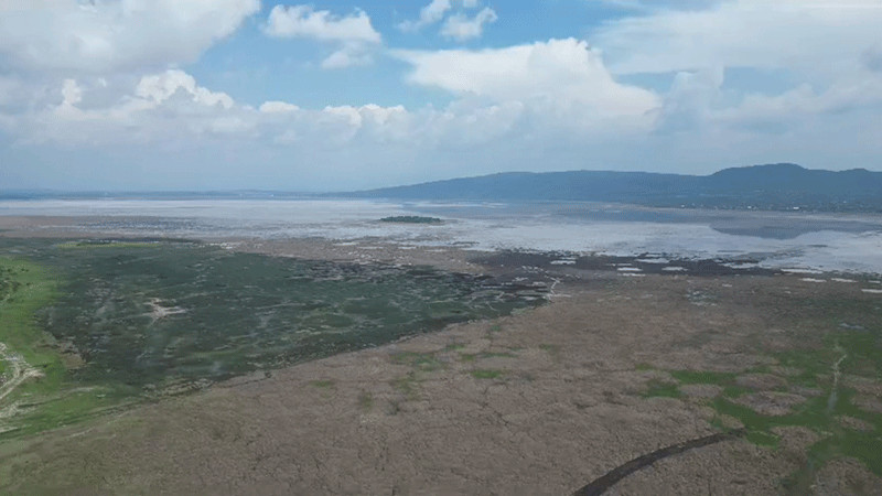 Lago de Cuitzeo en proceso de anegamiento : investigador 