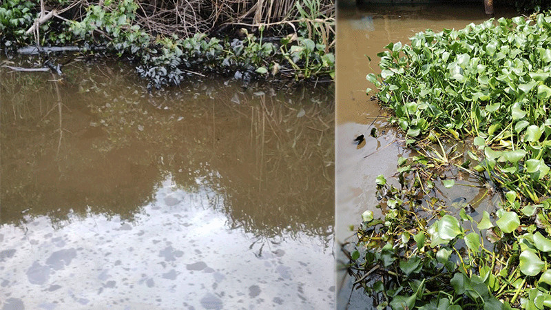 Pescadores alertan por nuevo derrame en Río Coatzacoalcos 