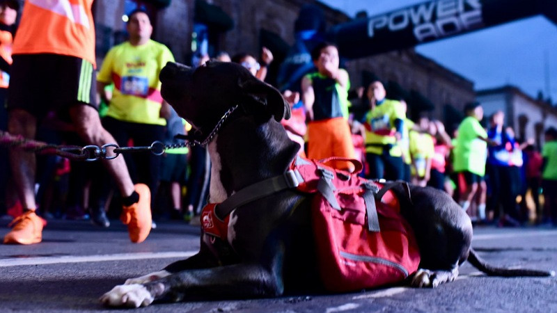 Carrera “Run Neón Morelia” reúne a 1200 participantes 