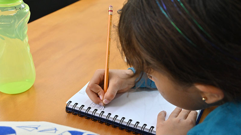 Infancias michoacanas se acercaron a las matemáticas en Escuelita de Verano del Centro de Ciencias Matemáticas-UNAM 