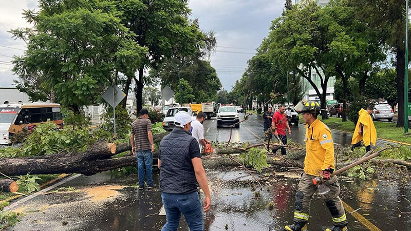 Lluvias en Morelia dejan encharcamientos y árboles caídos  