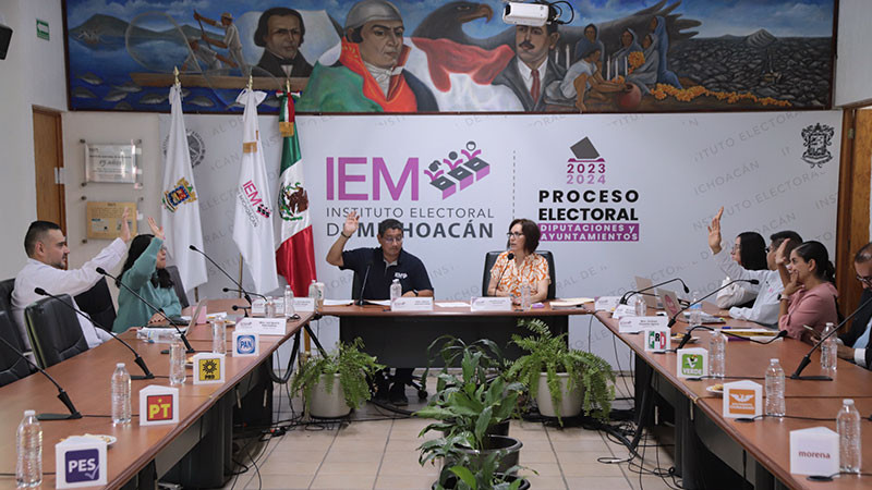 Participación ciudadana subió 6.46% en las pasadas elecciones en Michoacán: IEM 