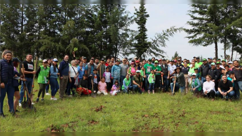 Cumple Partido Verde Michoacán con primera etapa de la reforestación 