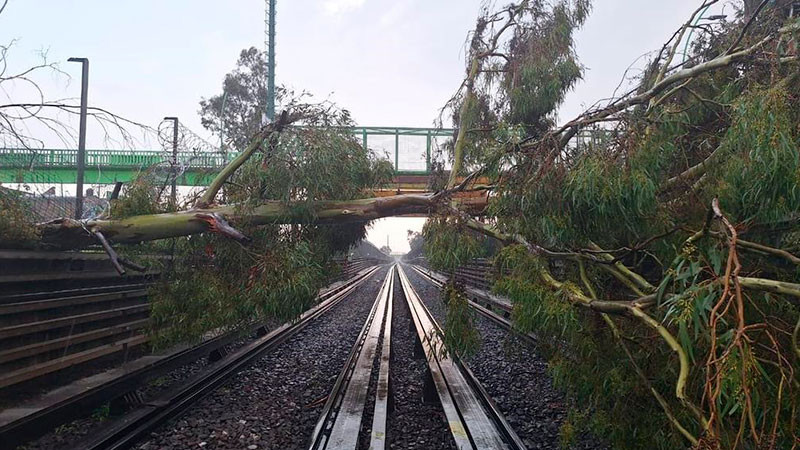 Caen dos árboles en vías del metro; deja sin servicio la Línea B del Metro CDMX 