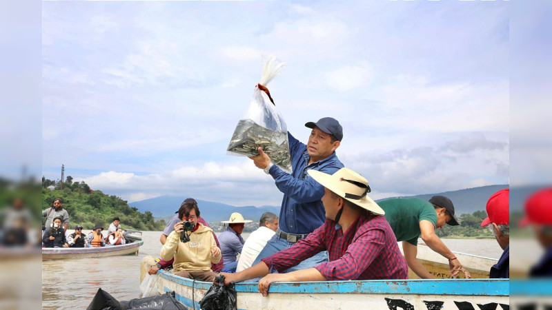 Liberan 15 mil peces acúmara en el lago de Pátzcuaro; especie en peligro de extinción