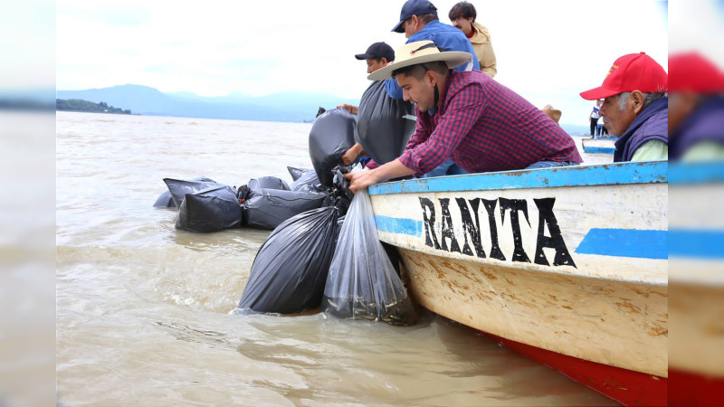 Liberan 15 mil peces acúmara en el lago de Pátzcuaro; especie en peligro de extinción