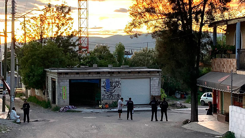 Hombre choca contra una barda y muere tras ser atacado por abejas en La Gotera, Querétaro 