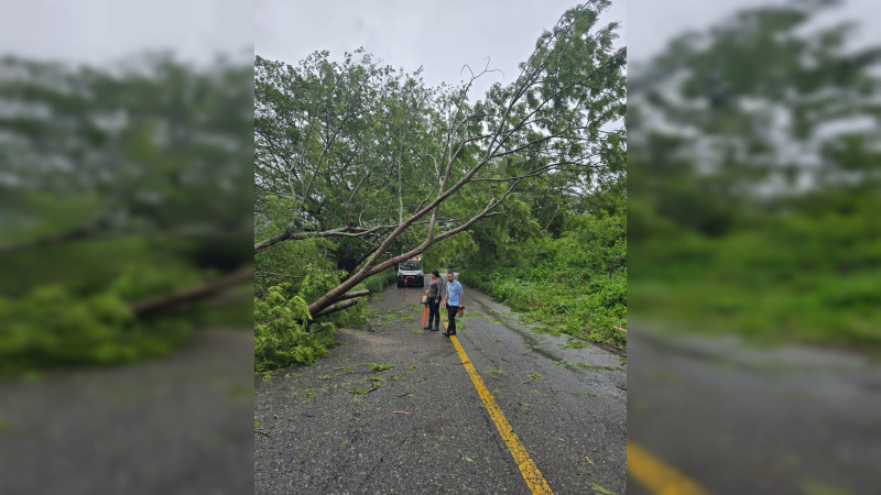 Tormenta Tropical John causa estragos en Michoacán: Ríos desbordados, caminos y poblaciones inundadas en Huetamo, Tepalcatepec y LC