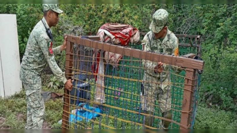 Ejército Mexicano y Guardia Nacional activan fase de recuperación de los Planes DN-III-E y GN-A en los municipios de San Lucas y Huetamo, Michoacán 