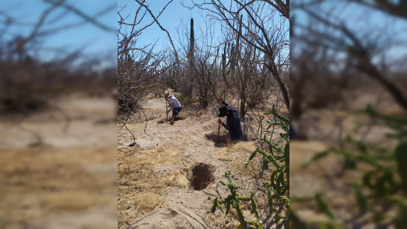 Localizan 4 fosas clandestinas en La Paz, Baja California Sur