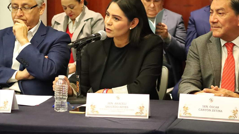 Araceli Saucedo integra comisión de Hacienda y Crédito Público en el Senado de la República 