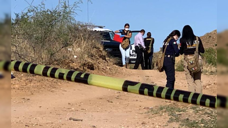 Hallan cuerpo de cortador de aguacate, con un balazo en la cabeza en Los Reyes, Michoacán: Tenía varios días desaparecido 