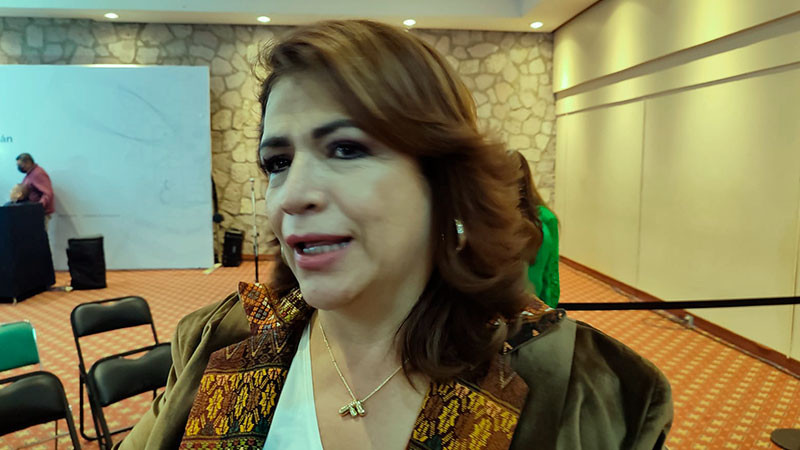 Revisará Congreso de Michoacán reforma a la ley de salud, adelanta Fabiola Alanís 