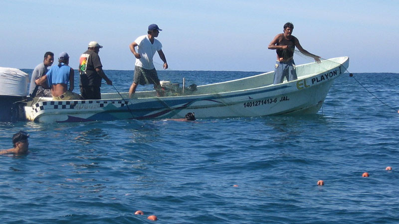 Encuentran cuerpo flotando cerca del puerto de "El Cuyo", Yucatán; podría tratarse de pescador desaparecido  