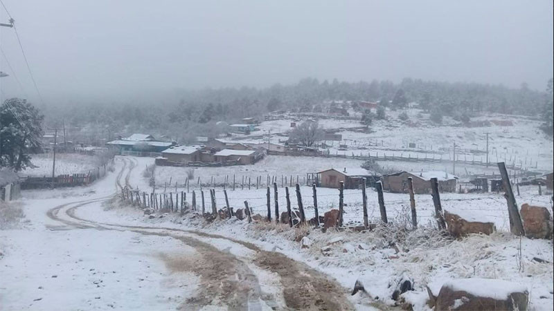 Ingresará frente frío número 4; alertan por heladas en Chihuahua y Durango 