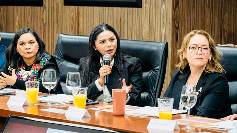 Araceli Saucedo gestiona ante federación apoyo para el sector agropecuario de Michoacán 