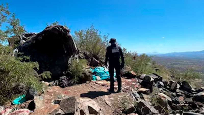 En plena cima de cerro, desmantelan campamento de grupo criminal en Sonora 