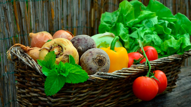 Presenta SEP programa de alimentación saludable en escuelas 