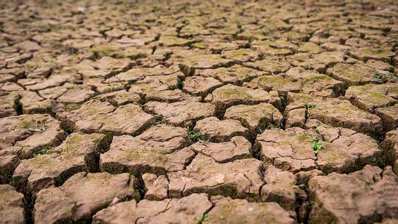 A pesar de lluvias torrenciales persiste sequía en México, advierte experta de la UNAM 