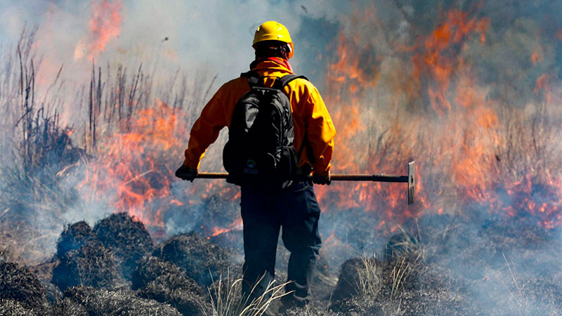 Con 417 incendios forestales, Puebla se ubica en séptimo lugar a nivel nacional 