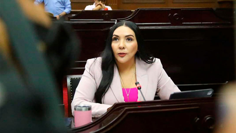 Congreso no puede ser omiso sobre inseguridad en Michoacán: Adriana Campos 