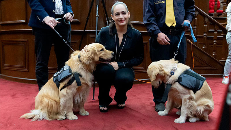 Impulsa Sandra Arreola reforma en favor de las personas con discapacidad en la entidad 