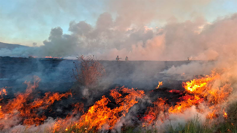 Se registra incendio en el Parque Ecológico del Lago de Texcoco 