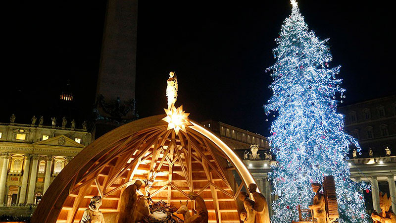 Recogen firmas para evitar talar árbol de 200 años destinado a la plaza de San Pedro por Navidad 