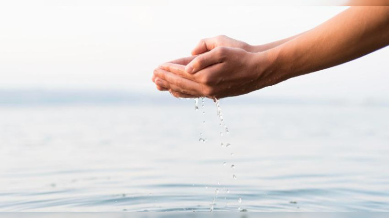 Agua virtual: El costo oculto de los bienes de consumo y su impacto medioambiental 