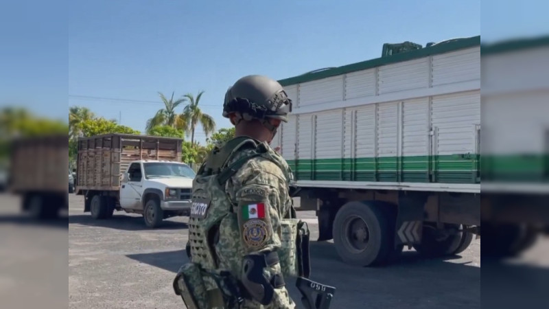 Burlan a cientos de policías y soldados y queman centro de acopio de limón en Apatzingán, Michoacán: a metros de cuartel de la GN 