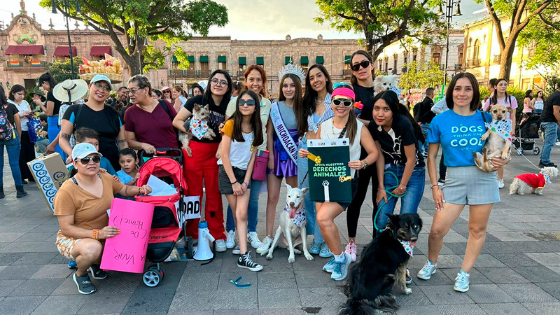 Activistas alertan sobre riesgos en reforma de protección animal  