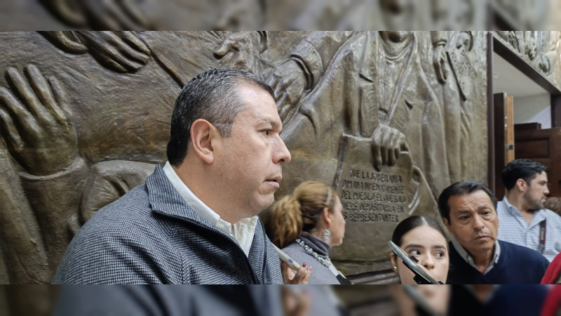 Itzé Camacho cuenta con apoyo de 60 consejeros para dirigir Morena: Barragán Vélez  