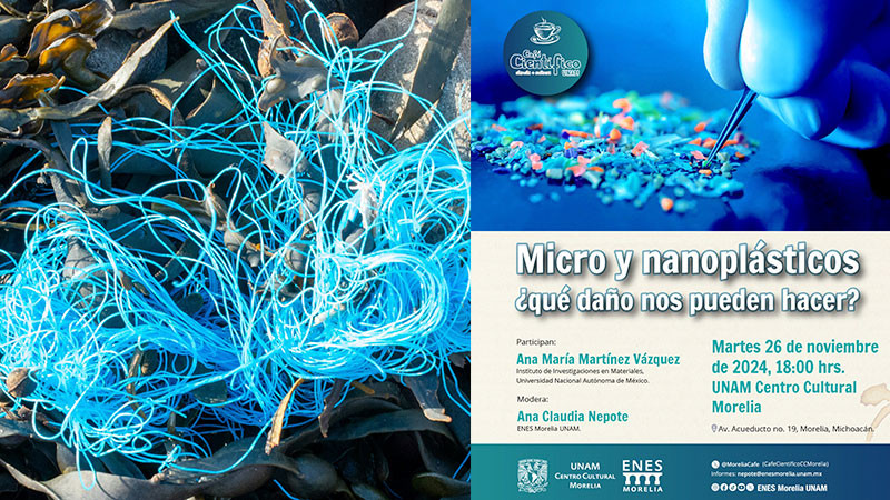 Café Científico de la UNAM reflexionará sobre los daños de provocan los micro y nanoplásticos 