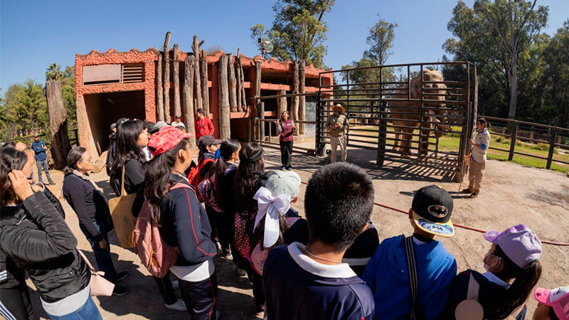 Consienten Sedebi y Zoológico a niñas y niños con discapacidad auditiva 