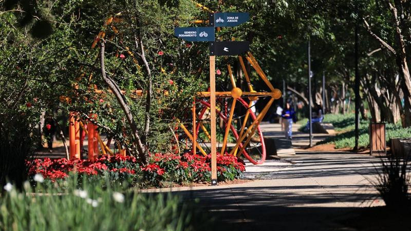 En Morelia, Boulevard García de León se llena de nochebuenas y luces navideñas 